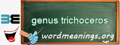 WordMeaning blackboard for genus trichoceros
